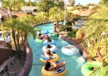 Best Family Resorts in Scottsdale: Top 5 for Kids 2025 Best Family Resorts in Scottsdale: Top 5 for Kids 2025