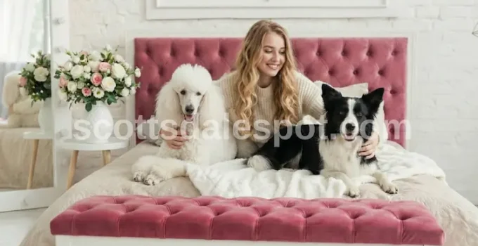 Best Pet Friendly Hotels in Scottsdale: Top 5 for 2026