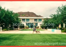Best Pet Friendly Hotels in Scottsdale: Top 5 for 2025