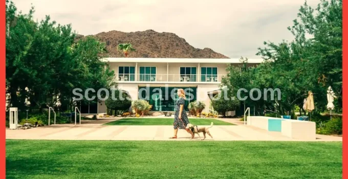 Best Pet Friendly Hotels in Scottsdale: Top 5 for 2025