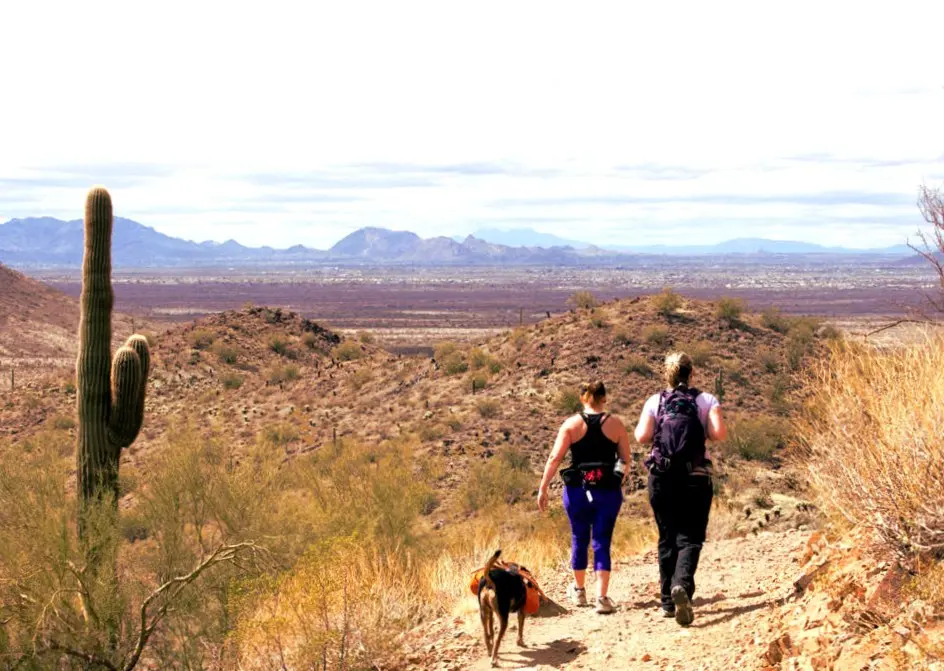 scottsdale hiking trails mcdowell sonoran preserve arizona desert