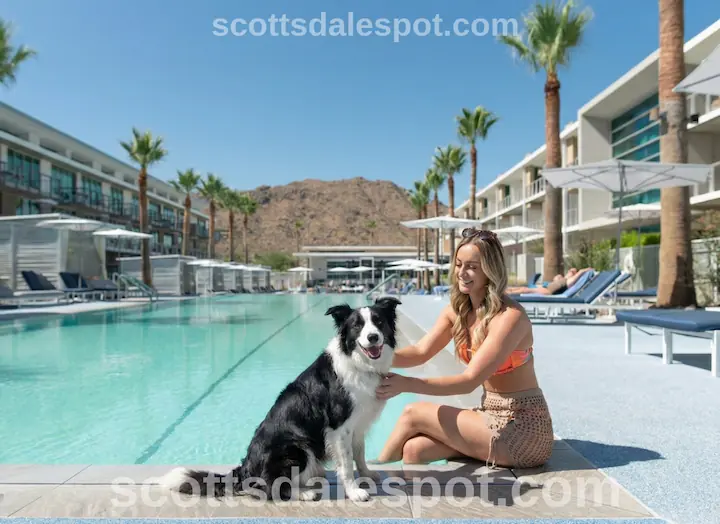 mountain shadows resort scottsdale pet friendly dog camelback mountain arizona