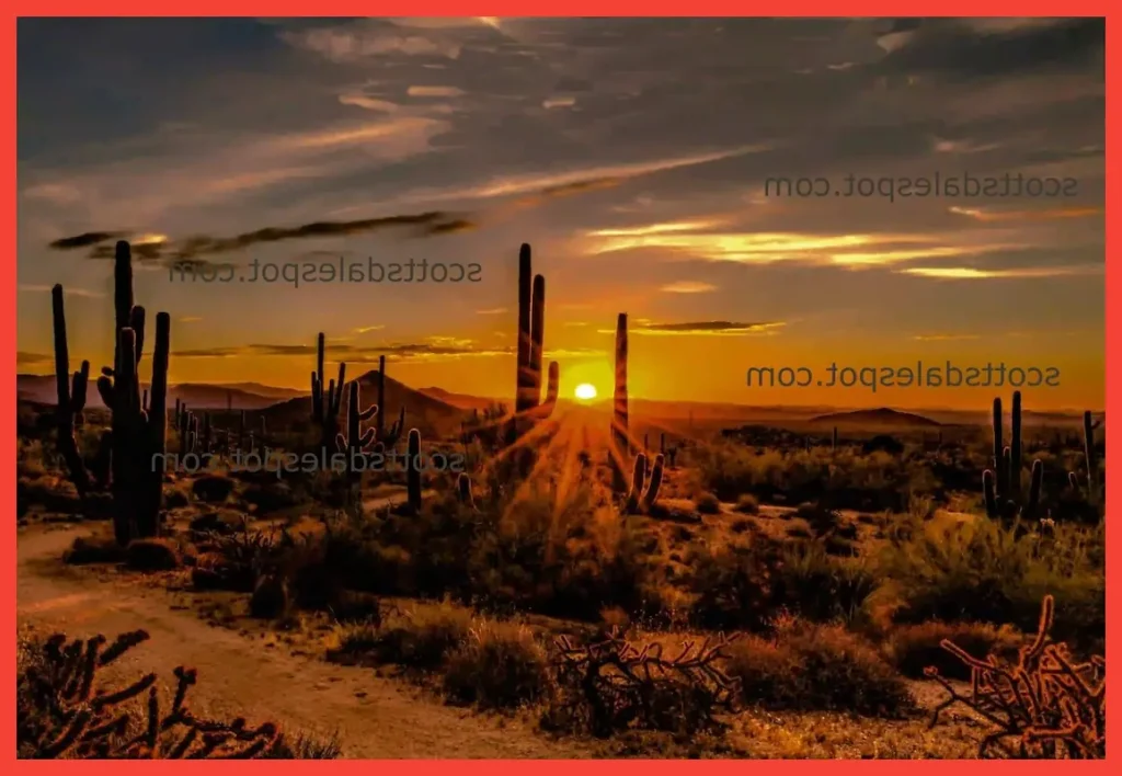 Scottsdale Arizona Luxury Desert Landscape and Resorts