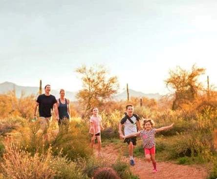 hings to do scottsdale with kids family activities butterfly wonderland