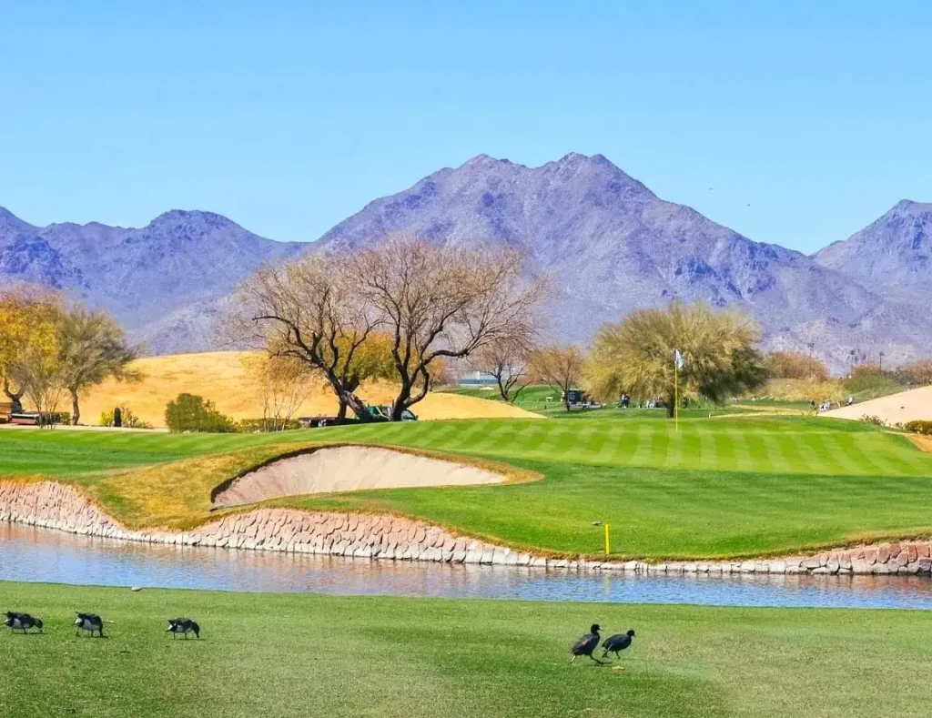 tpc scottsdale golf course stadium arizona phoenix open
