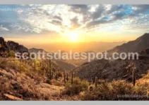 Best North Scottsdale Guide: Top 5 Attractions