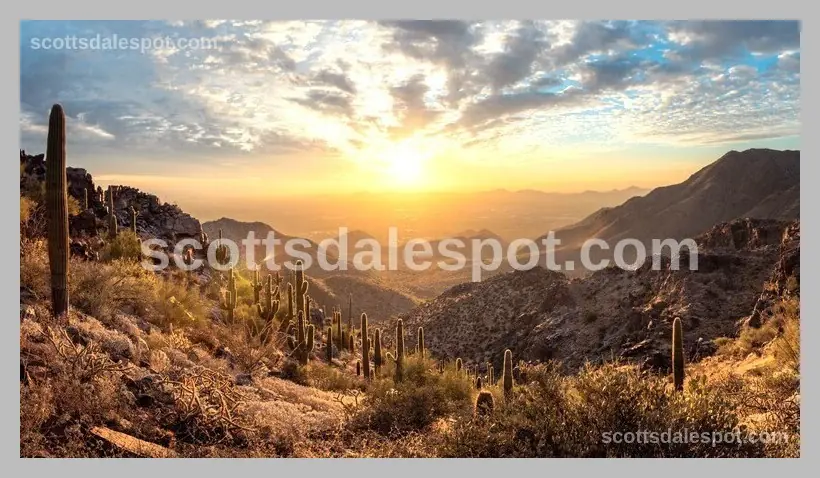 Best North Scottsdale Guide sunset panorama McDowell Mountains saguaro cactus Sonoran Desert hiking trails Arizona