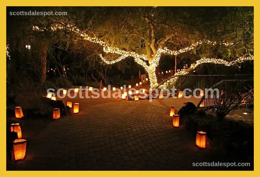 las noches luminarias desert botanical garden scottsdale saguaros christmas