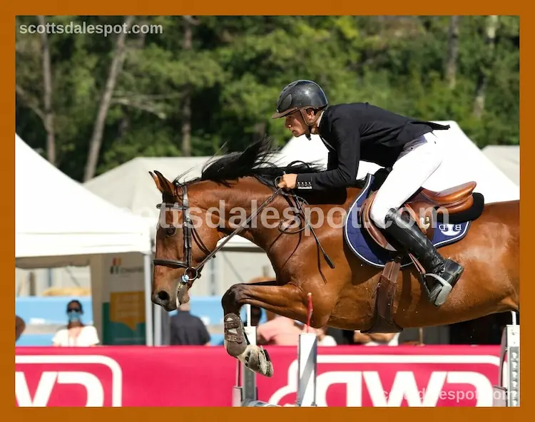 arabian horse competition scottsdale equidome halter class 2026