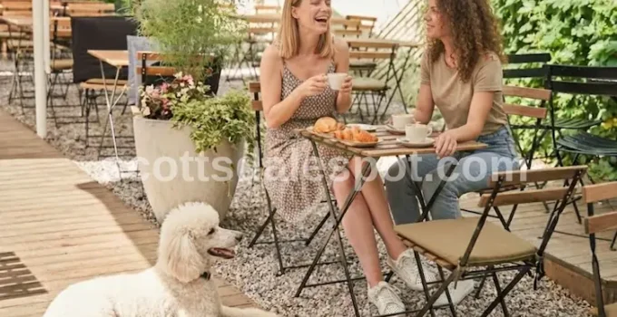 Best Dog Friendly Restaurants in Scottsdale: Top 5 (2026)