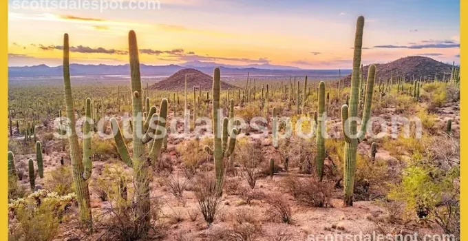 Best Hiking in Scottsdale: 5 Epic Desert Trails (2026)