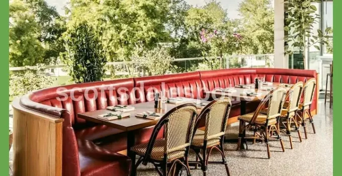 Best Restaurants Near Mayo Clinic Scottsdale: Top 5 (2026)