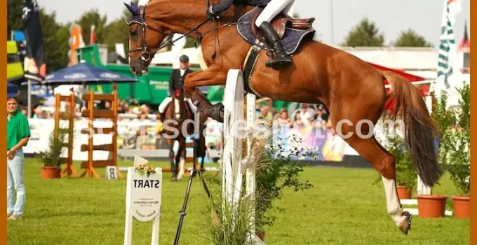 Scottsdale Arabian Horse Show 2026: Ultimate Visitor Guide