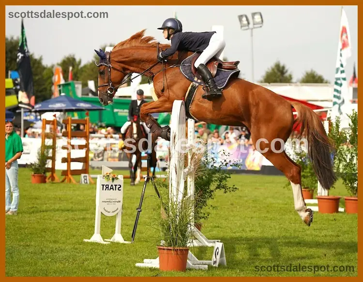 scottsdale arabian horse show 2026 westworld of scottsdale arena