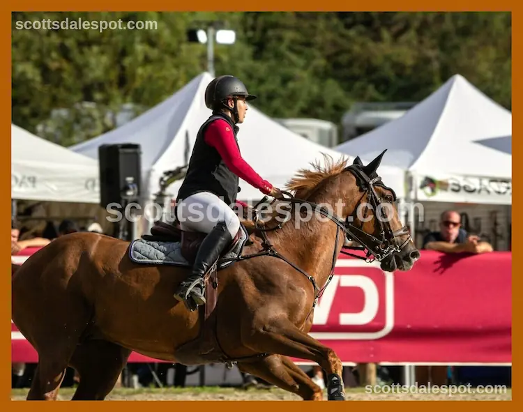 scottsdale arabian horse show shopping expo vendors jewelry western fashion