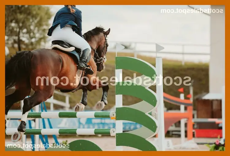 tail tours scottsdale arabian horse show family kids meet arabian horse