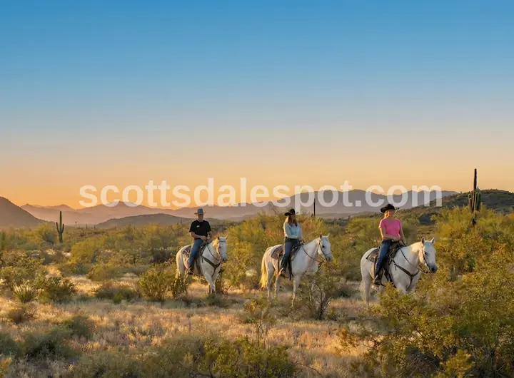 arizona horseback adventures spur cross sunset ride scottsdale desert rescue horses