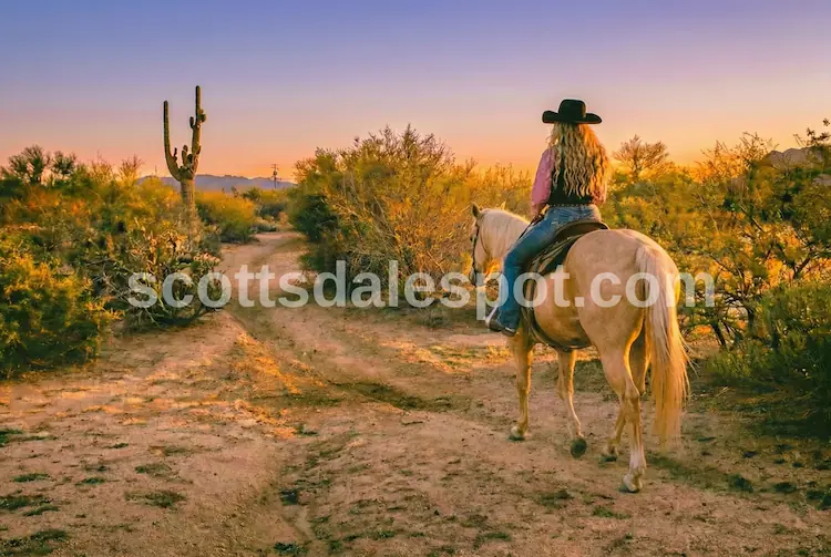 best scottsdale horseback riding arizona desert trail sunset saguaro cactus