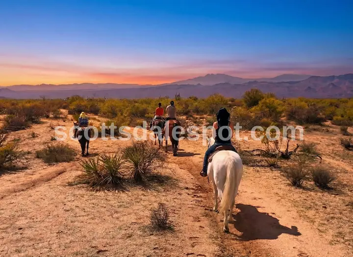 cave creek outfitters scottsdale arizona horseback riding tours desert trails