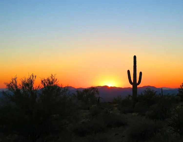 Scottsdale Arizona Luxury Desert Landscape and Resorts