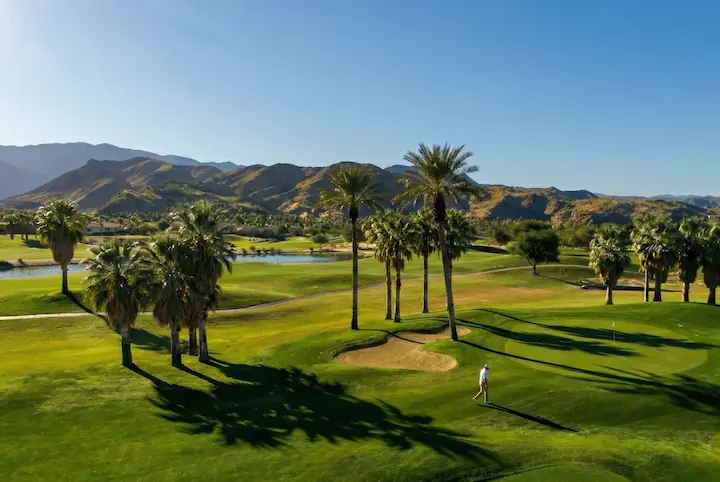 "Scenic Scottsdale golf course featuring a golfer walking along a lush green fairway, surrounded by diverse palm trees and majestic desert mountains under a bright blue sky