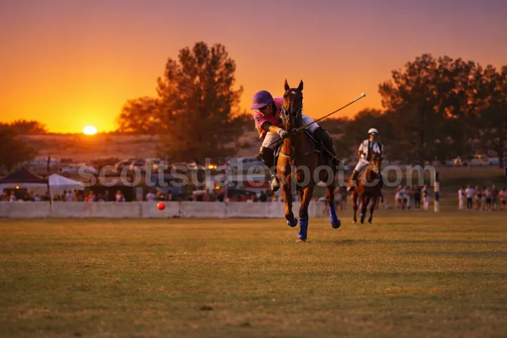 Bentley Scottsdale Polo Championships polo match with international teams competing