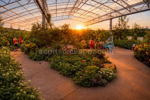 Butterfly Wonderland Scottsdale kids butterflies landing on child rainforest pavilion Arizona family