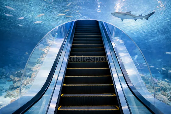 OdySea Aquarium tunnel weekday morning visit with minimal crowds Scottsdale