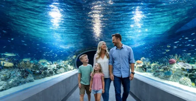 OdySea Aquarium Scottsdale: Complete Visitor Guide 2026