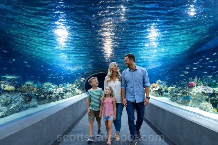 OdySea Aquarium Scottsdale entrance at Arizona Boardwalk family attraction