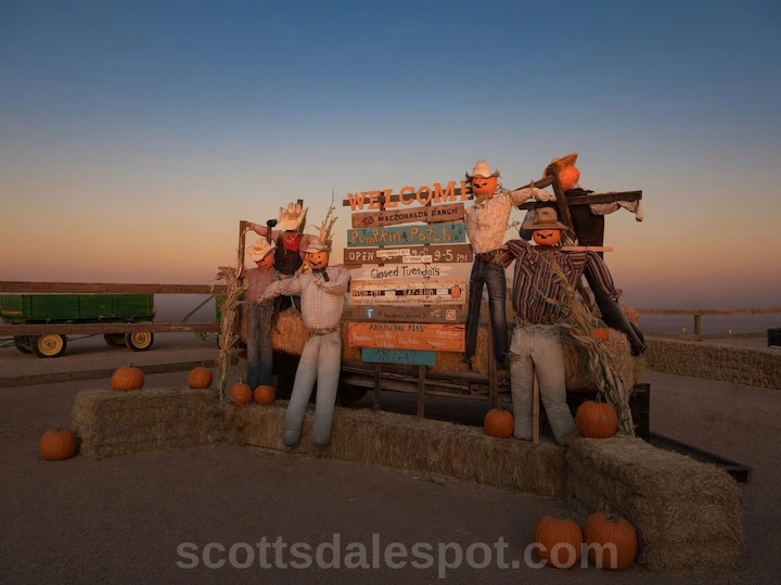MacDonald's Ranch pumpkin patch in North Scottsdale with hay maze Arizona Halloween